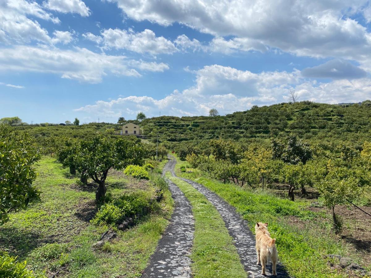 Agriturismo Le Case Di Civi Mascali Eksteriør bilde