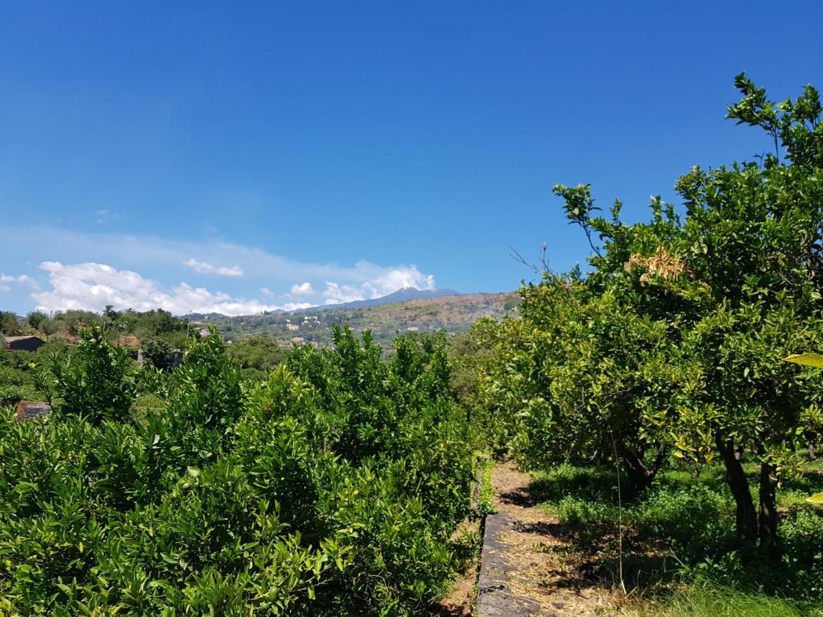 Agriturismo Le Case Di Civi Mascali Eksteriør bilde