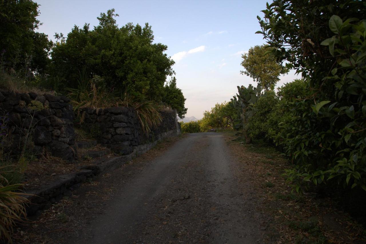 Agriturismo Le Case Di Civi Mascali Eksteriør bilde