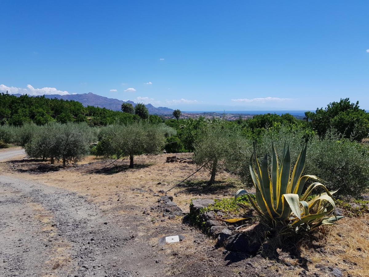 Agriturismo Le Case Di Civi Mascali Eksteriør bilde