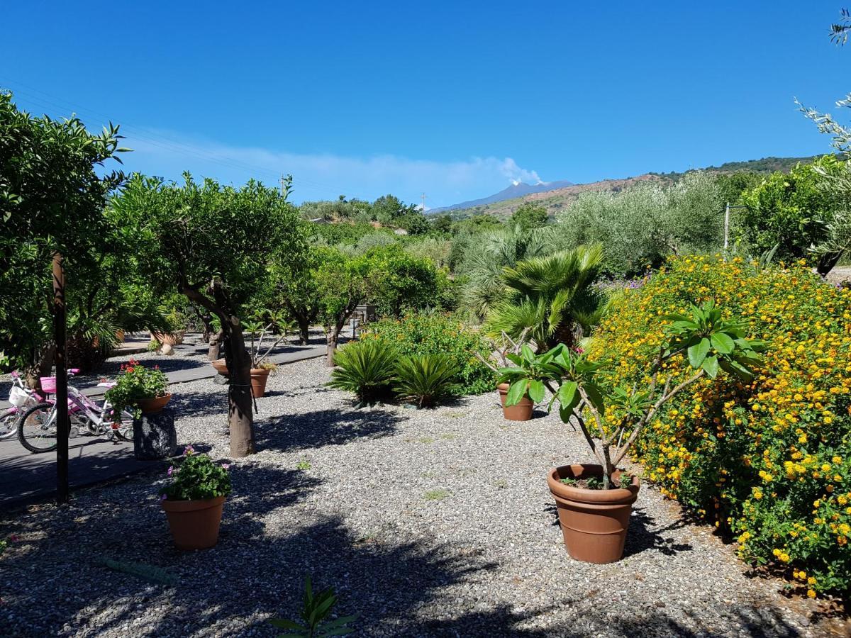 Agriturismo Le Case Di Civi Mascali Eksteriør bilde