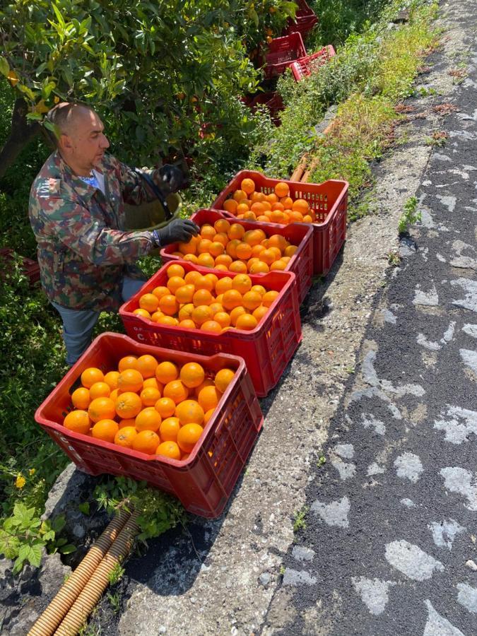 Agriturismo Le Case Di Civi Mascali Eksteriør bilde